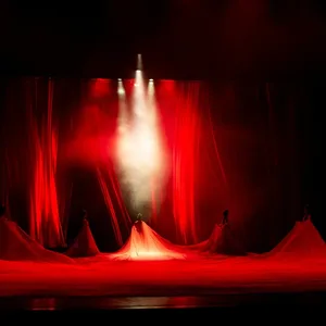 Logo Prestation Artistique 100